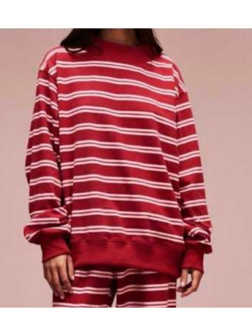 NIB Parke mockneck sweatshirt